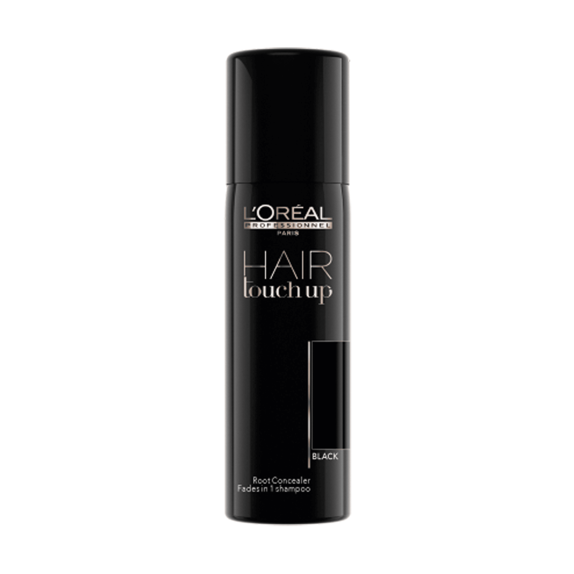L'Oréal Professionnel Hair Touch Up Black